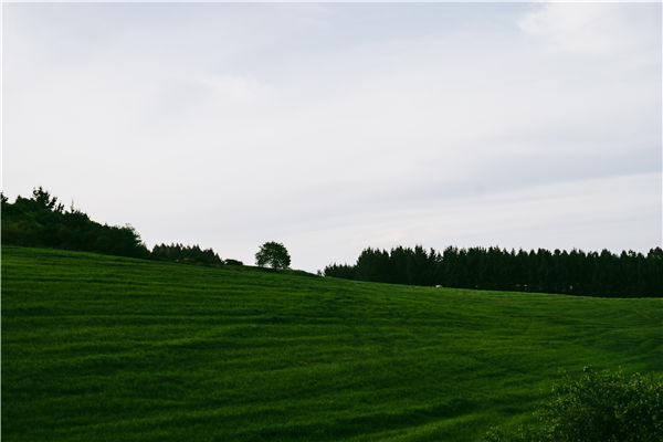 测土配方施肥仪 测土配方施肥仪
